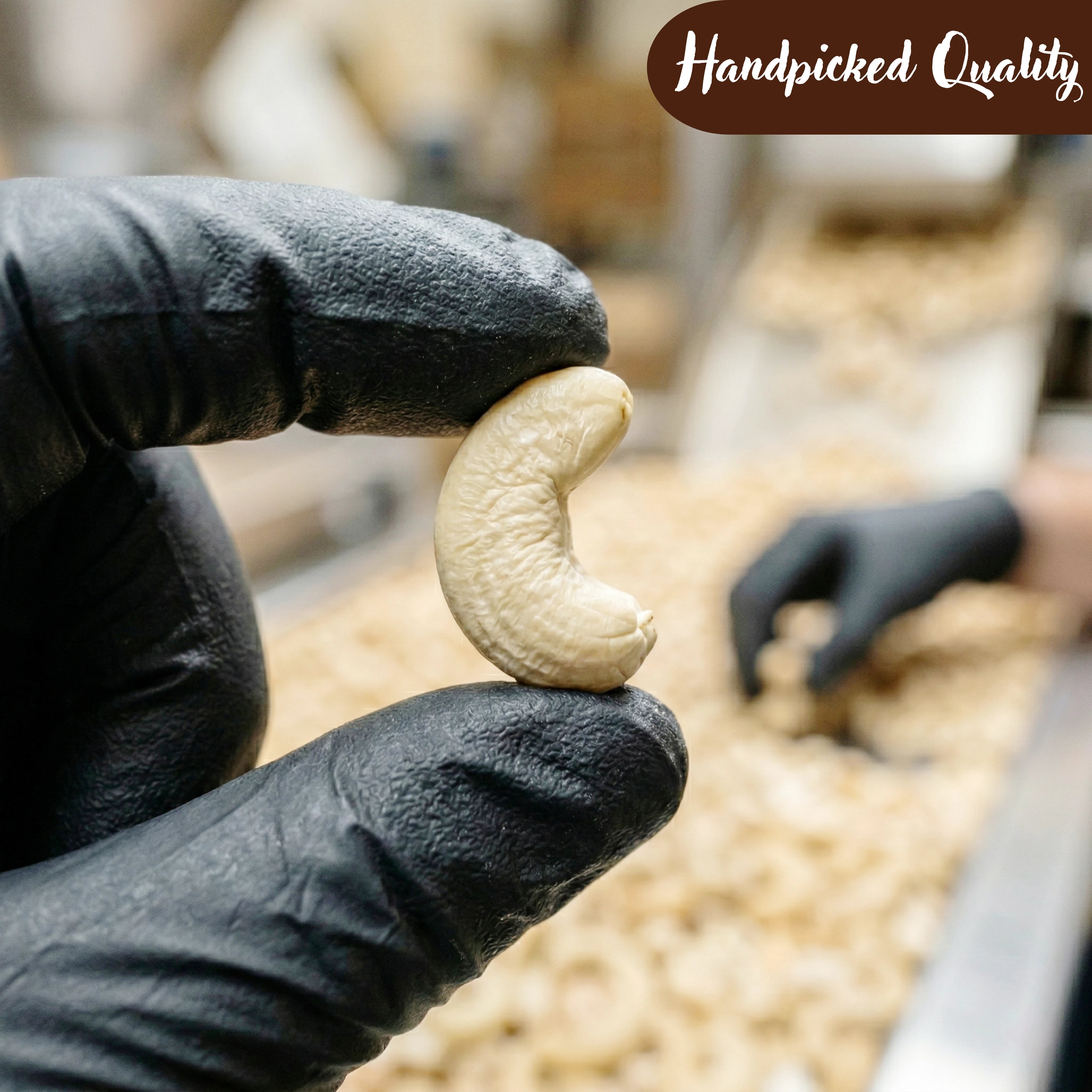 Roasted & Salted Pistachios & Whole Cashews Combo Pack (200g Each)