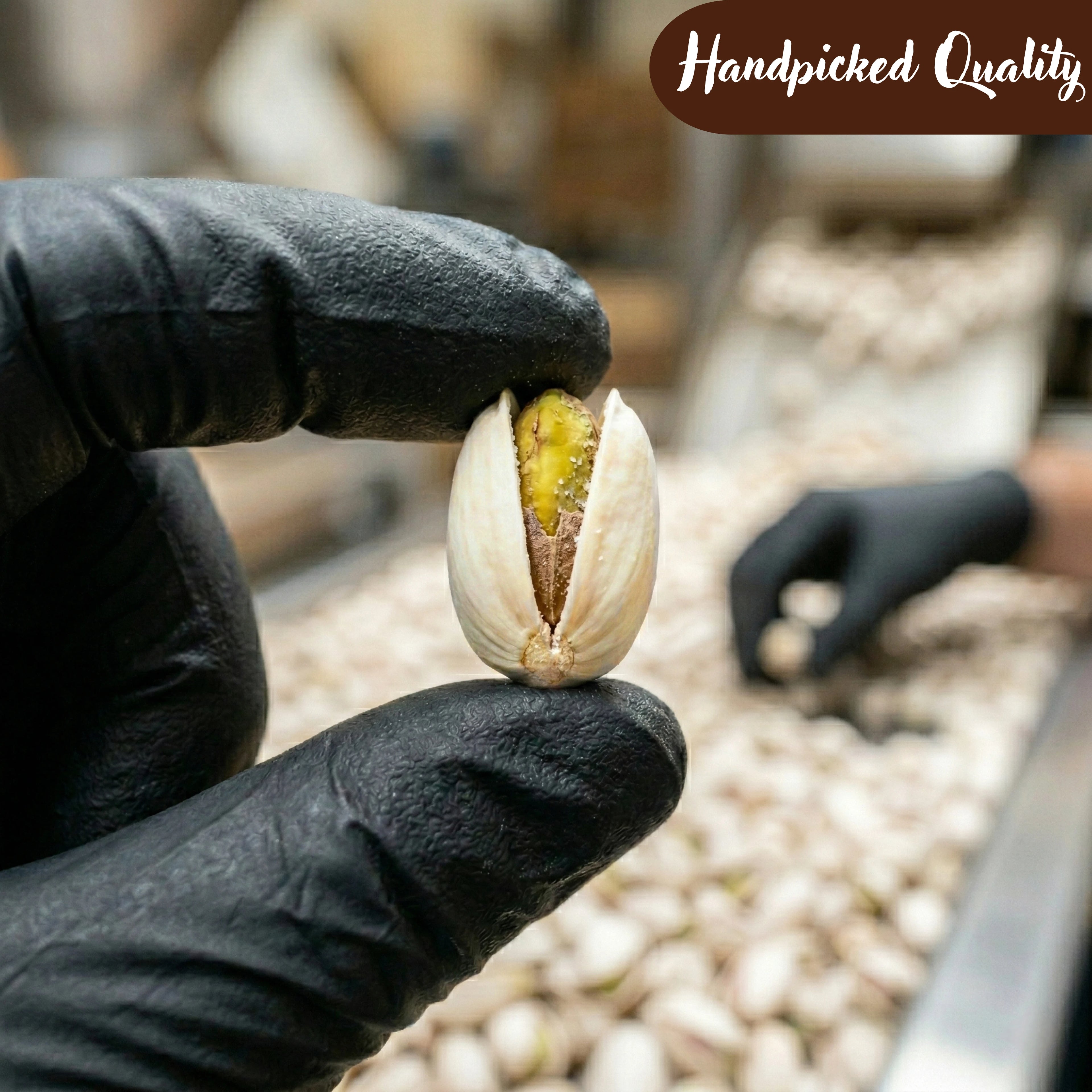 Roasted & Salted Pistachios & Whole Cashews Combo Pack (200g Each)